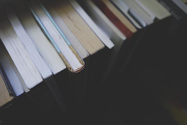 Mastering Translation: Navigating Academic Document Requirements for Global Students