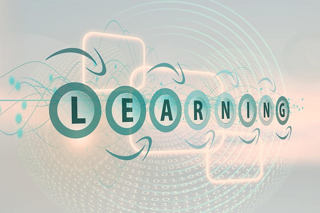 Training Manuals and E-learning Materials