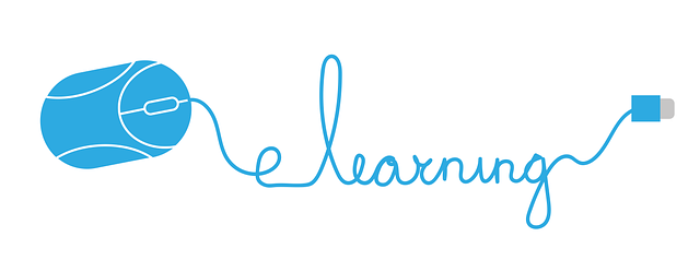 Training Manuals and E-learning Materials