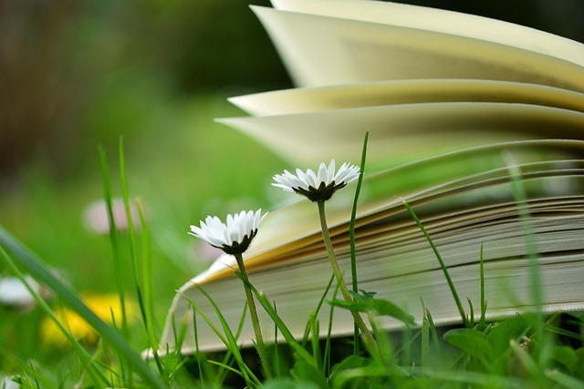 Training Manuals and E-learning Materials