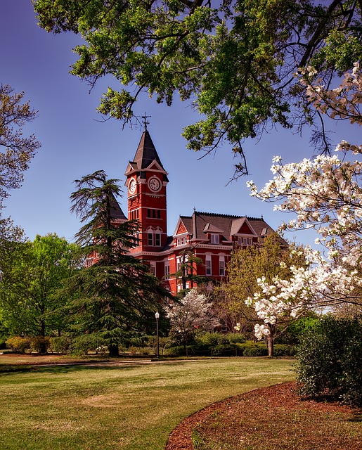 university-admission-documents-640x480-88920935.jpeg