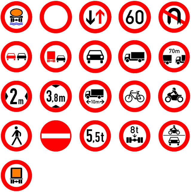 User Manuals and Instruction Guides