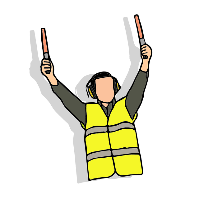 User Manuals and Instruction Guides