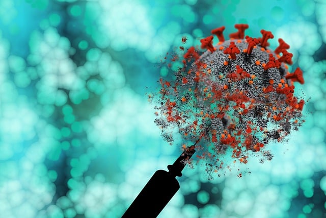 Expert Translations for Vaccine Info Sheets: UK Services for Clear Communication