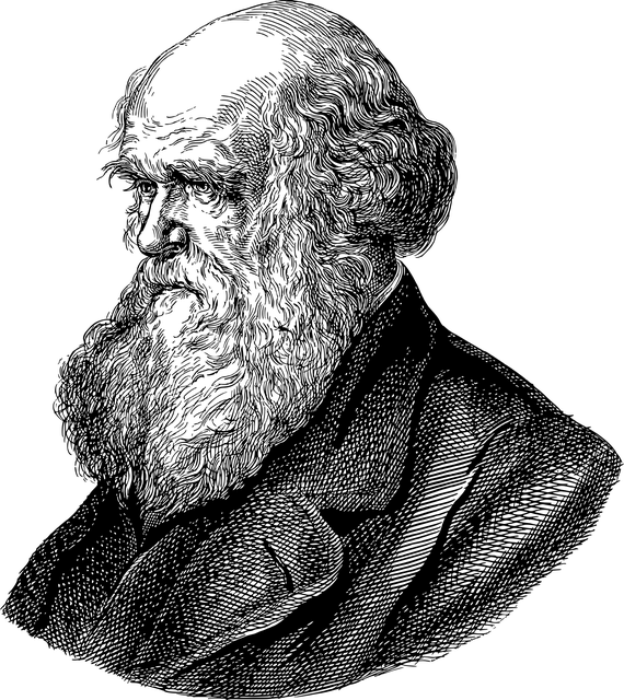academic-transcripts-640x480-39243973.png