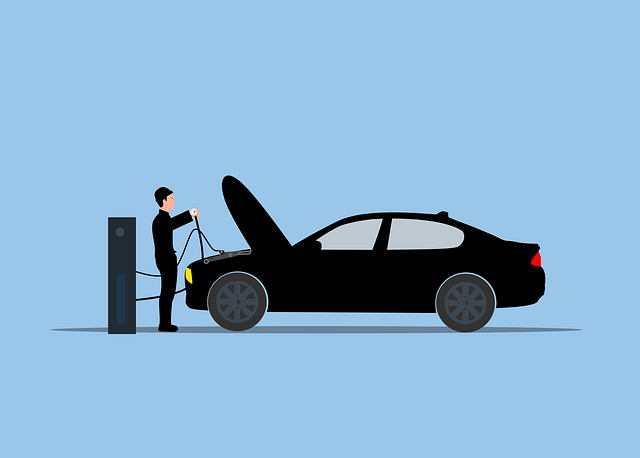 Automotive Technical Bulletins and Repair Manuals