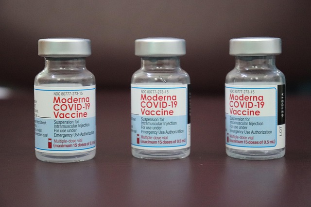 Clinical Trial Protocols