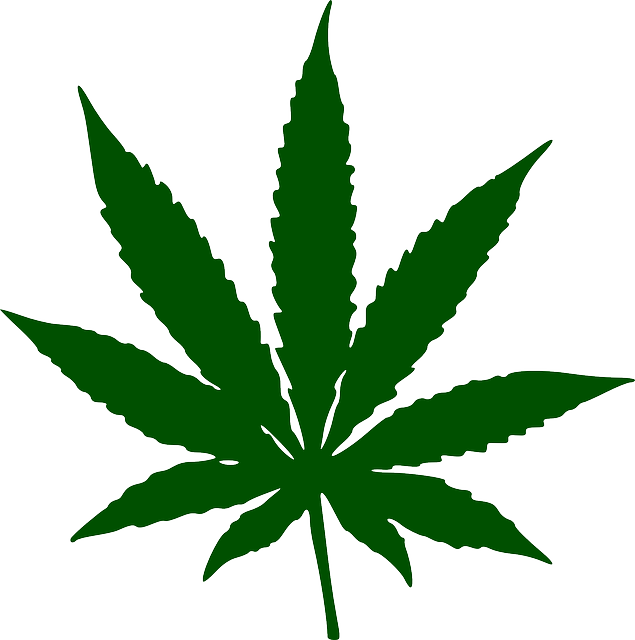Drug Safety Reports