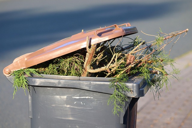 environmental-and-social-responsibility-640x480-4442832.jpeg