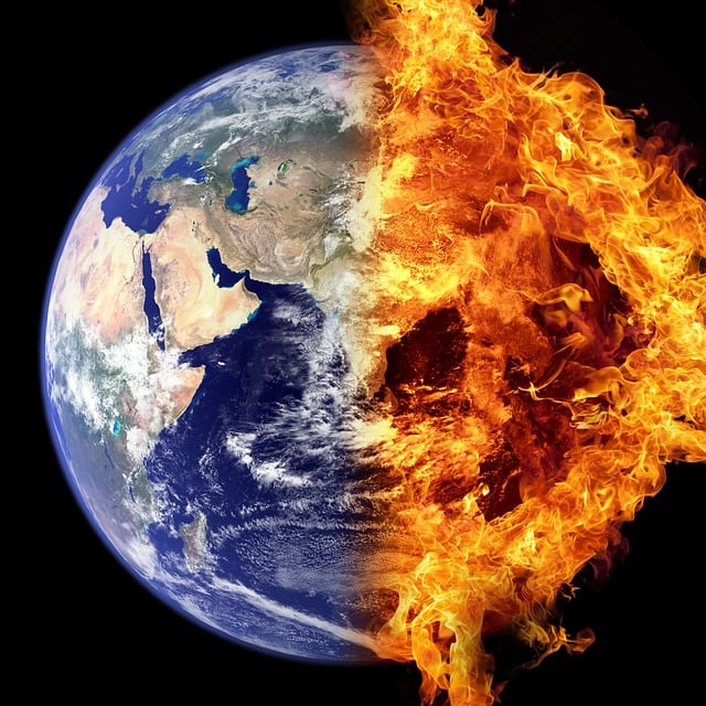 Environmental and Social Responsibility Reports