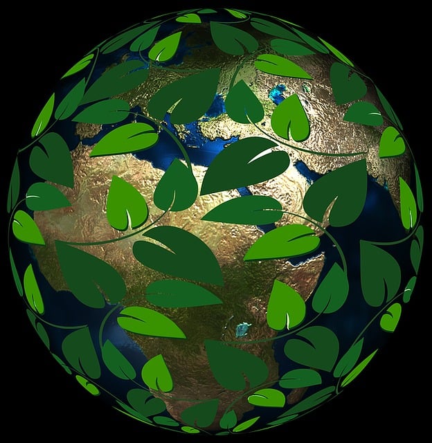 Environmental and Social Responsibility Reports