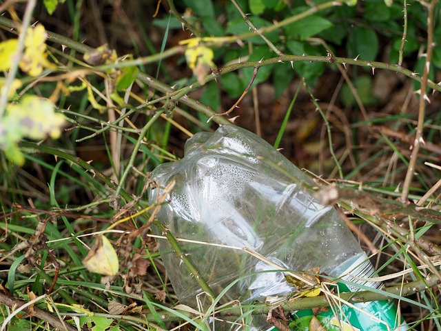 Environmental Compliance Documents