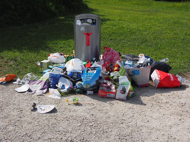 Environmental Impact Assessments