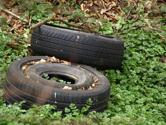 Environmental Impact Assessments