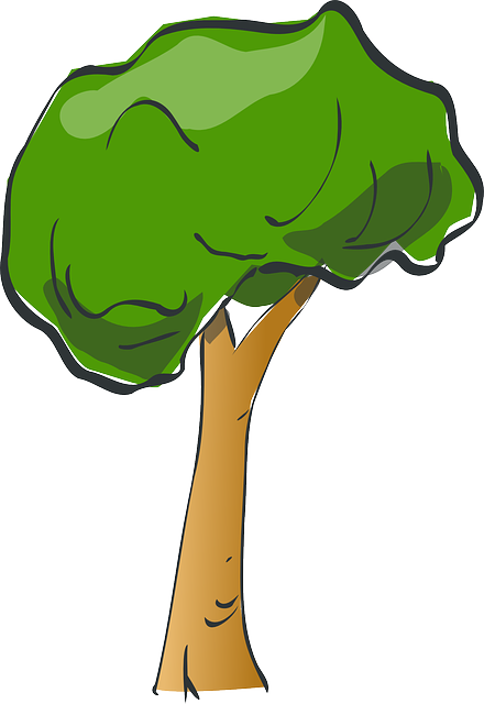 Environmental Impact Assessments