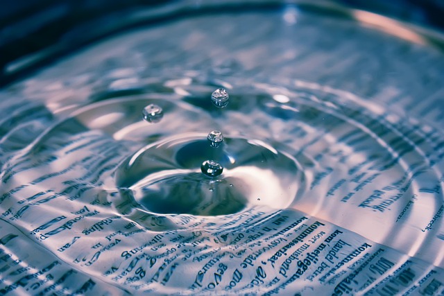 Environmental Impact Assessments