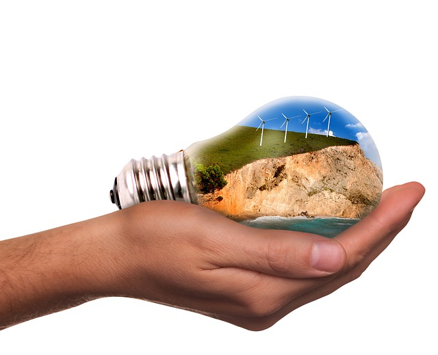 Environmental Impact Assessments