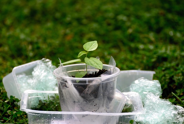 Environmental Impact Assessments