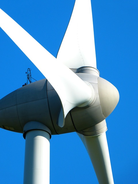Environmental Impact Assessments