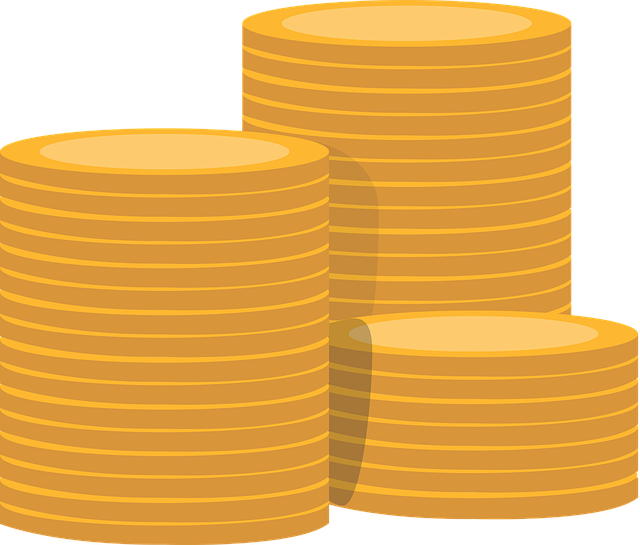 Financial Audit Reports
