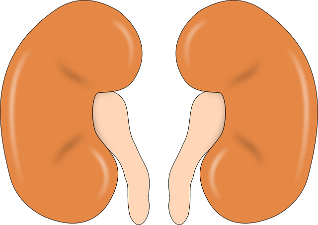 Human Resources Documents