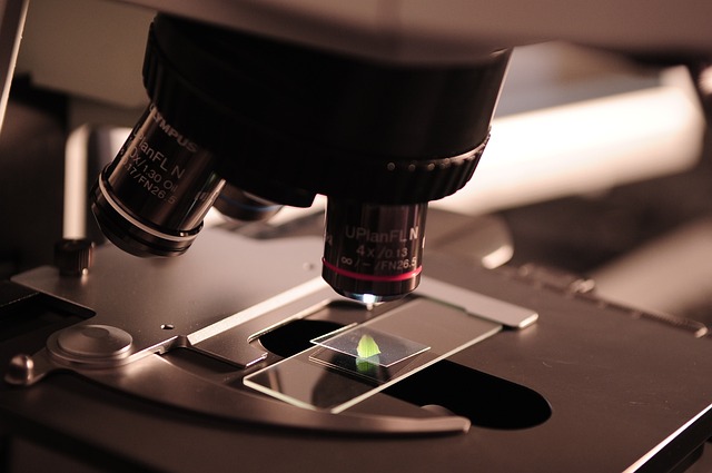 Laboratory Reports