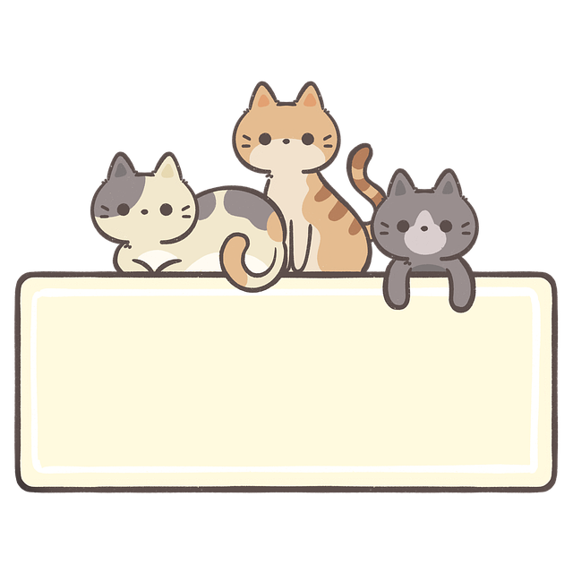 Machine Specifications and Descriptions