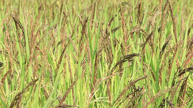 Machine Specifications and Descriptions