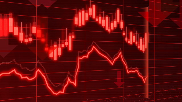 Market Research Reports