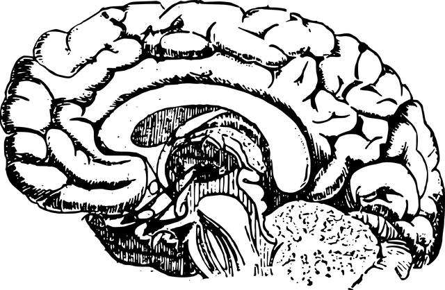 Medical Case Studies