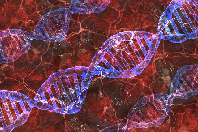 medical-research-papers-640x480-36748302.jpeg