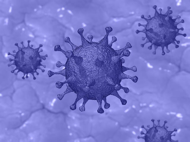 Public Health Reports