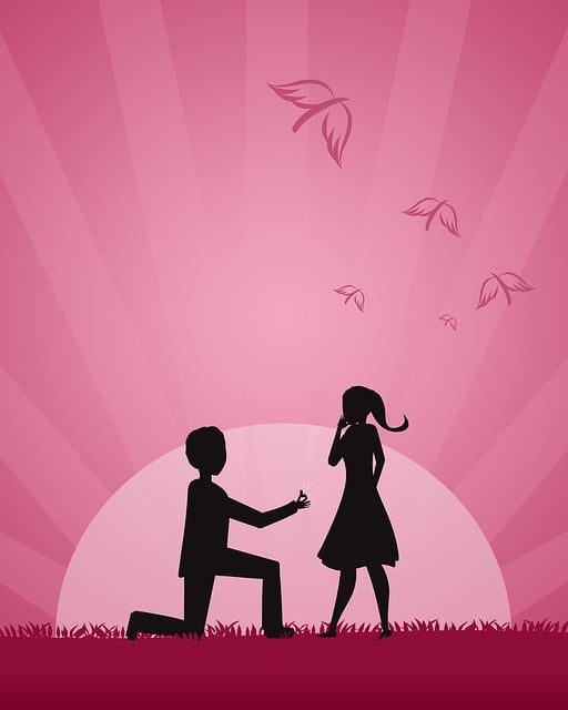 Sales Proposals and Presentations