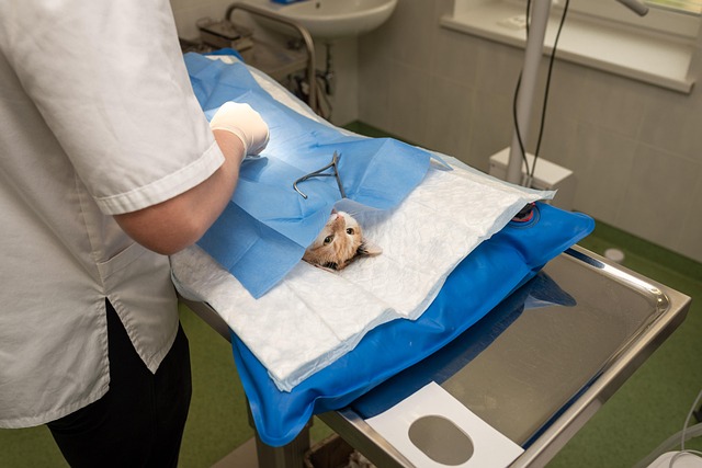 surgical-procedure-instructions-640x480-88438568.jpeg