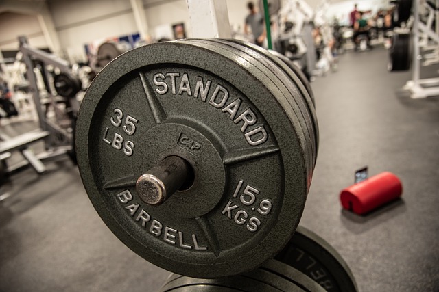 Technical Guidelines and Standards