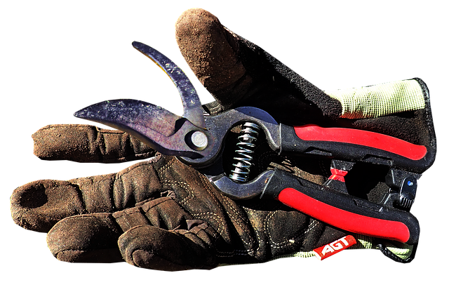 Technical Manuals for Scientific Equipment