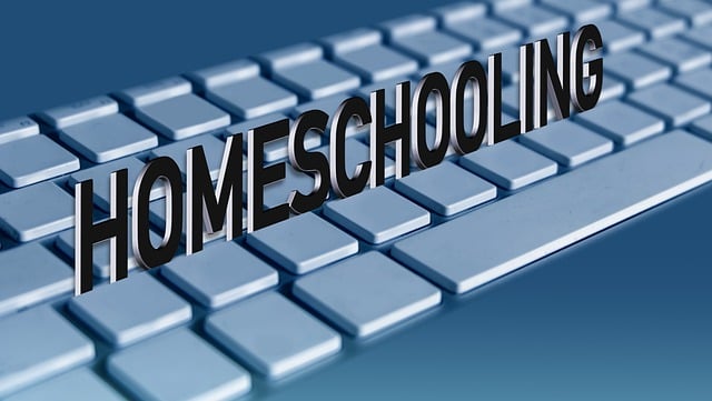 Training Manuals and E-learning Materials