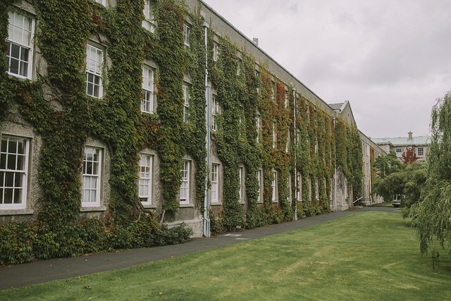 university-regulations-and-policies-640x480-45437880.jpeg