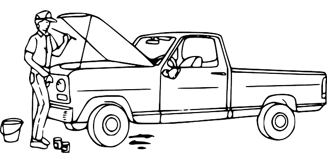 User Manuals and Instruction Guides