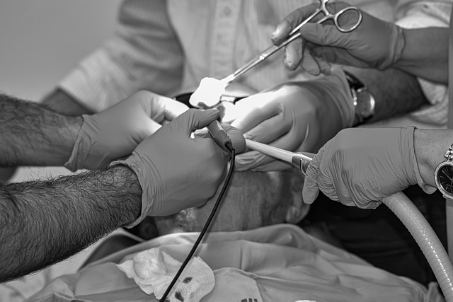 Company Policies and Procedures