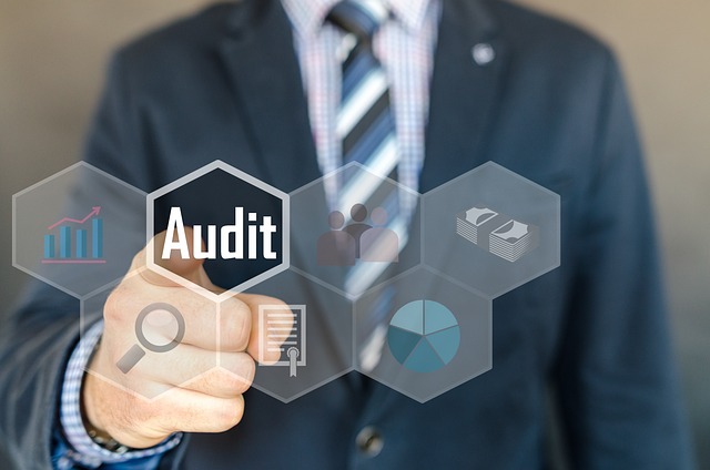 Financial Audit Reports