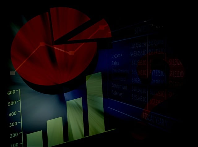 Financial Audit Reports