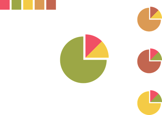 Financial Audit Reports