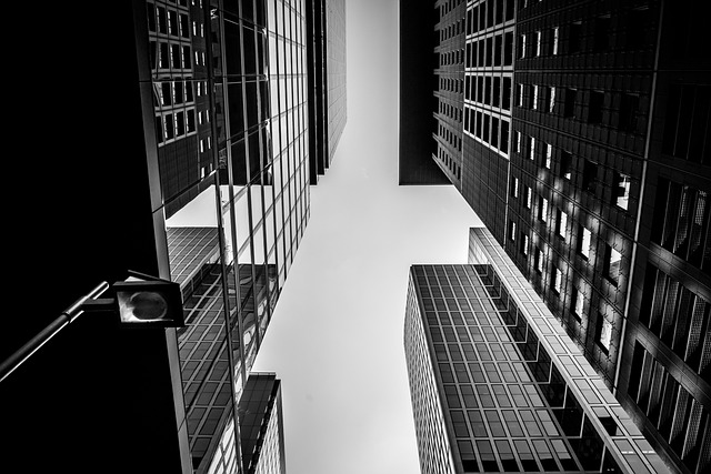 Financial Statements