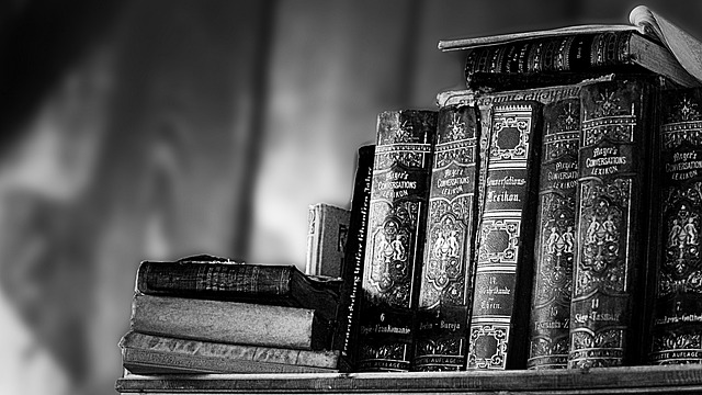 Navigating Global Education: Professional Translation for Study Abroad Documents