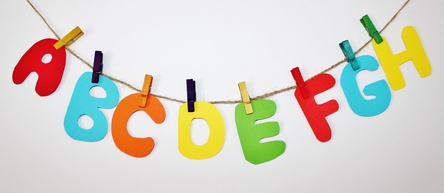 Training Manuals and E-learning Materials