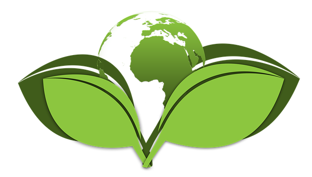 Environmental and Social Responsibility Reports