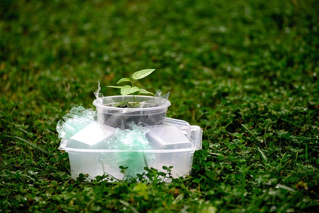 Environmental and Social Responsibility Reports