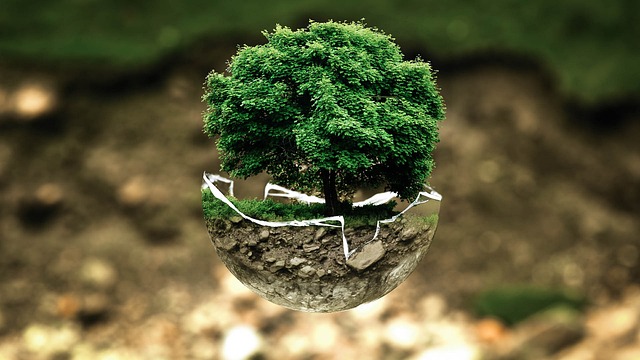 Environmental and Social Responsibility Reports