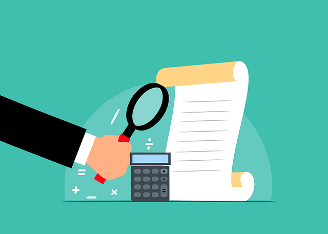 Financial Audit Reports